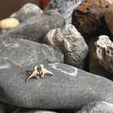 Dinos Stud Earrings