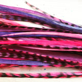 "HoopWest" Hot Pink Pink mix & Purple mix Earrings