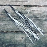 "HoopWest" Black & White Earrings