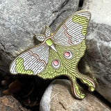 Moth Enamelled pin