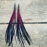 "HoopWest" Burgundy & Black Fade Earrings