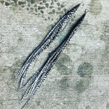 "HoopWest" Extra Long  - Grizzly