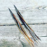 "HoopWest" Natural Mix 3 Earrings