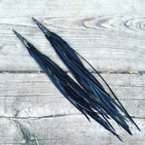 "HoopWest" Black Earrings