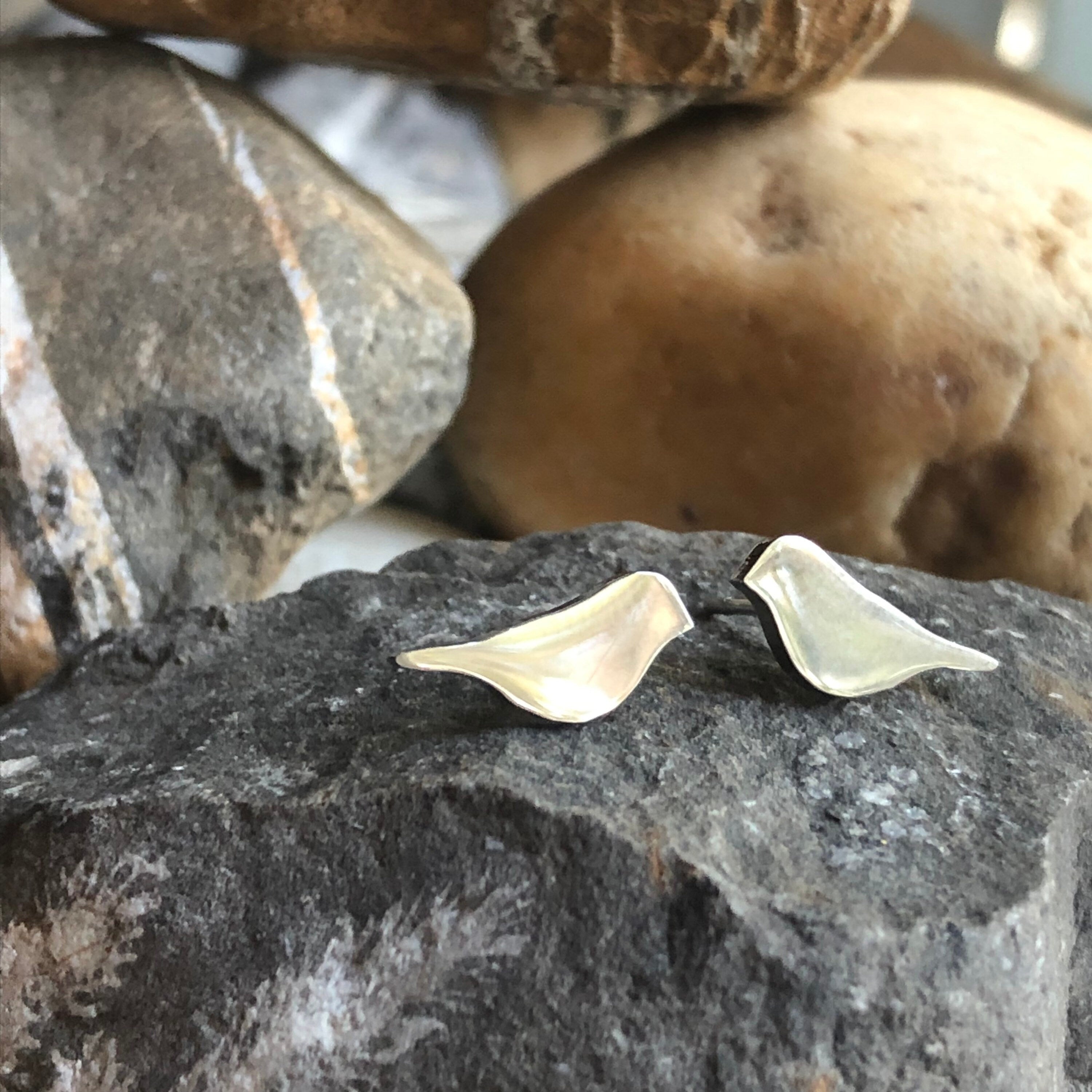 Stainless steel bird studs