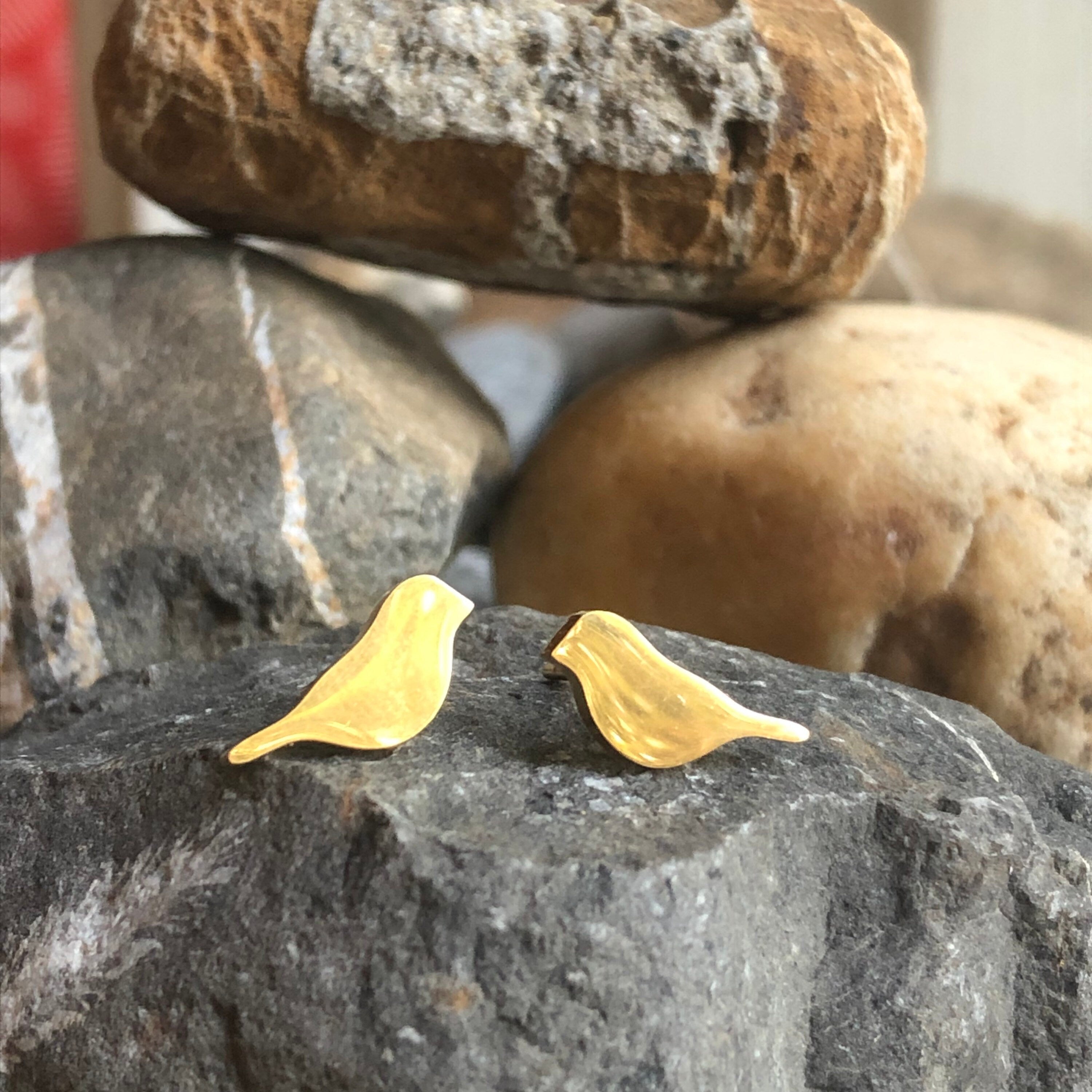 Stainless steel bird studs