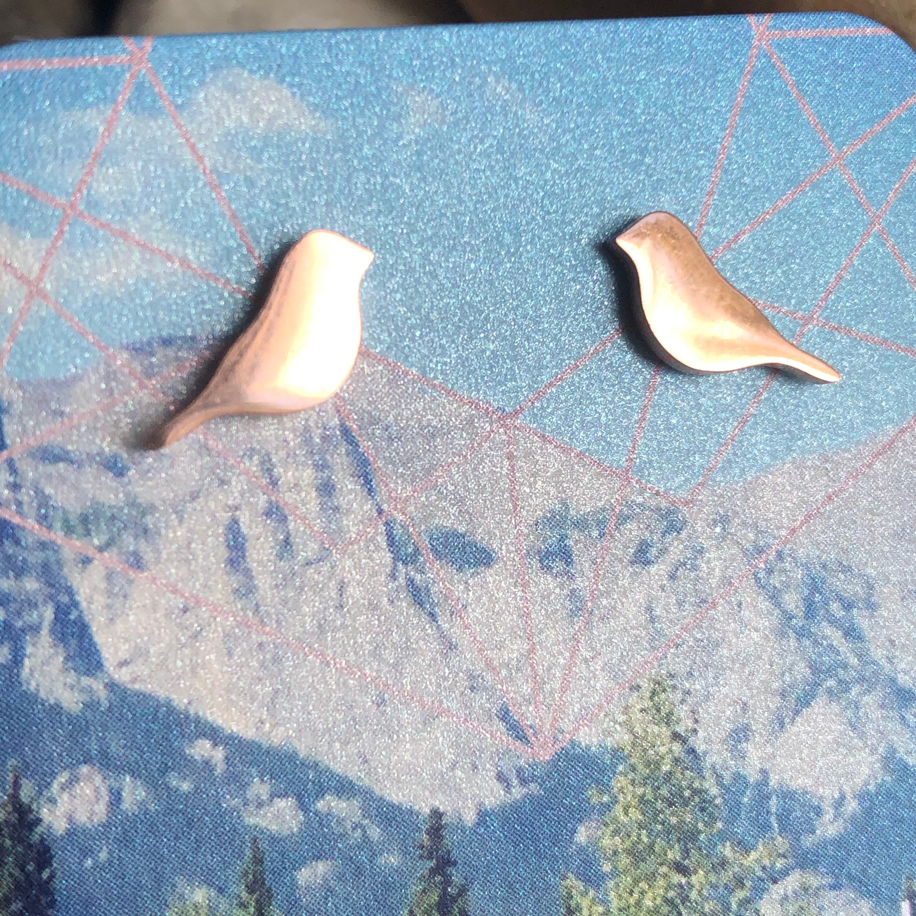 Stainless steel bird studs