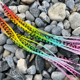 Pastel rainbow ombré long mixed solid grizzly feather earrings