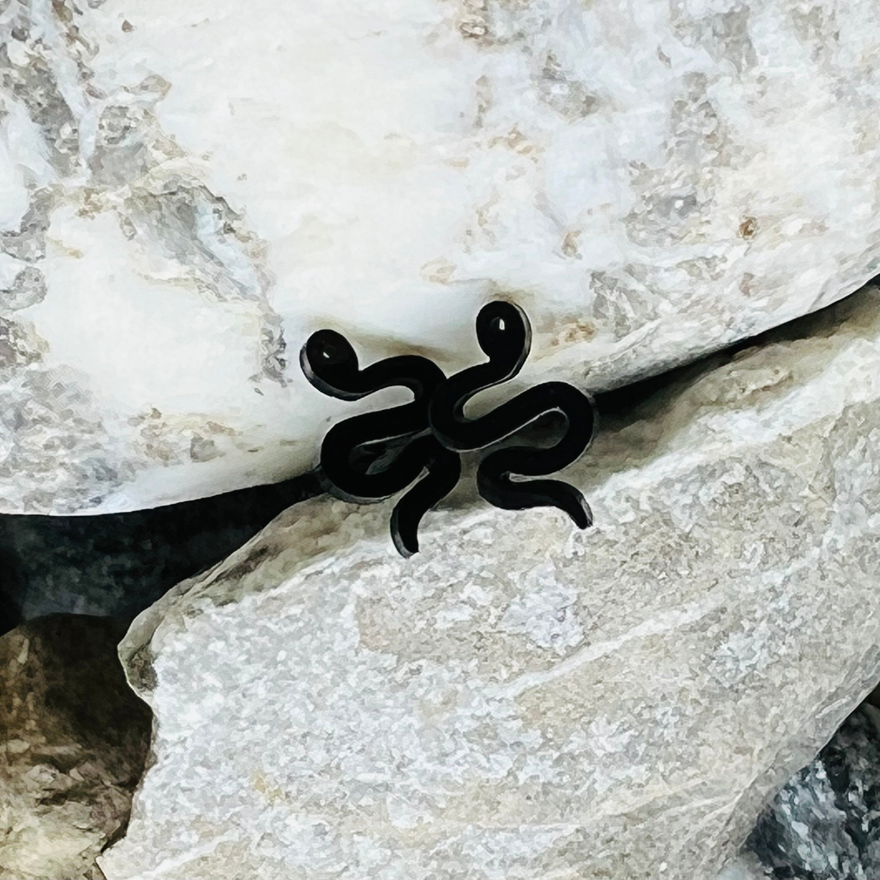 Stainless steel snake serpent stud earrings