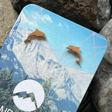 Stainless steel dolphin ocean earrings studs