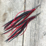 "HoopWest" Black & Red Earrings